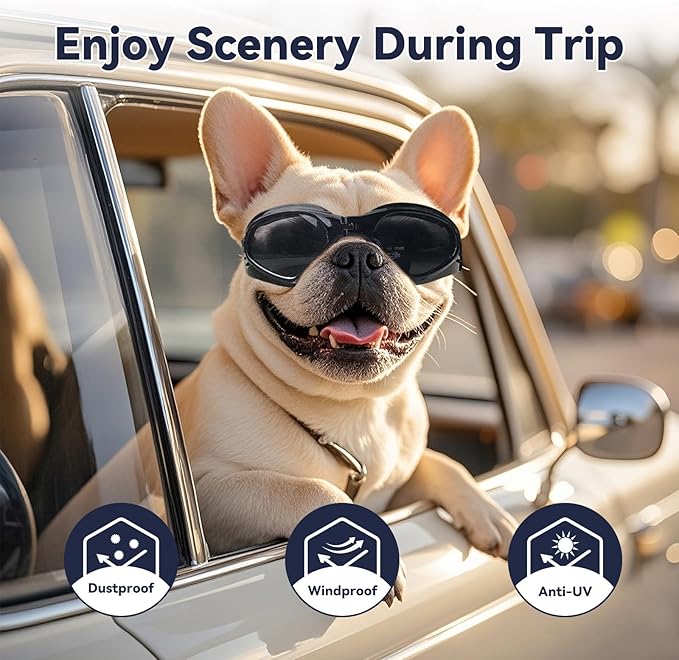 NAMSAN Dog Goggles for Small to Medium Dogs, Dog Sunglasses UV Protection for Medium Dogs Outdoor Cycling Driving, Small Puppy Glasses Dog Eye Protection, Anti-Fog Windproof, Adjustable, Black