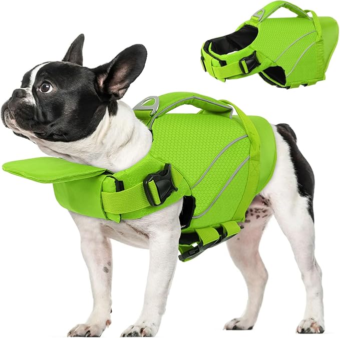 Queenmore Small Dog Life Jacket with Reflective Stripes, Adjustable Life Jacket for Small Dogs, Puppy Swimming Vest High Flotation, Puppy Life Jacket with Front Neck Float (Green,S)