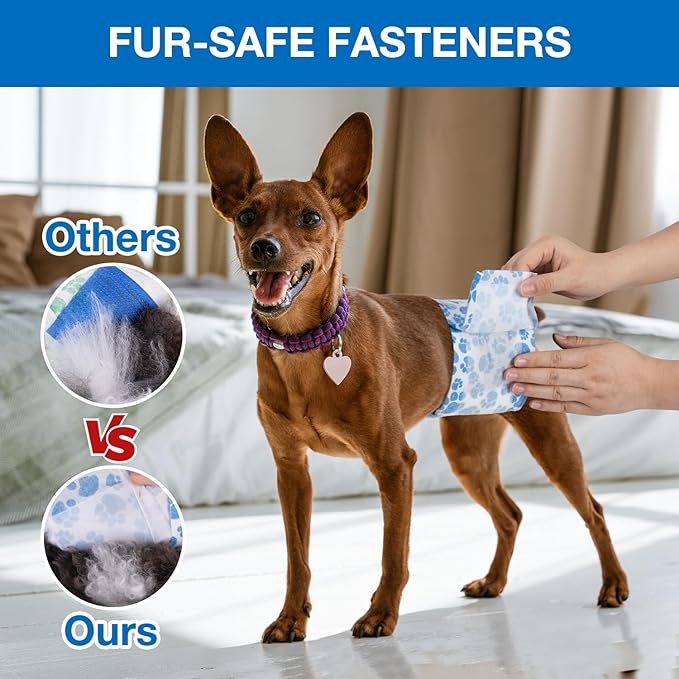 Dono Dog Diapers Male, Disposable Male Dog Wraps with Wetness Indicator, Leak-Proof Dog Belly Wraps, Rapid-Dry Gel Technology Doggie Puppy Diapers for Excitable Urination Incontinence, X-Small 60ct