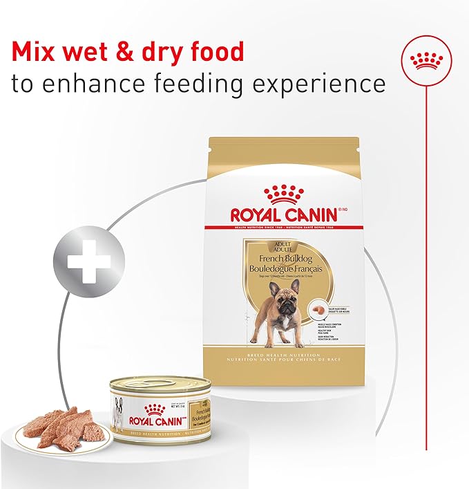 Royal Canin Breed Health Nutrition French Bulldog Wet Dog Food for Adult Dogs, Loaf Wet Food for French Bulldogs 12 Months+, Supports Digestive Health and Bone & Joint Health, 3 oz can