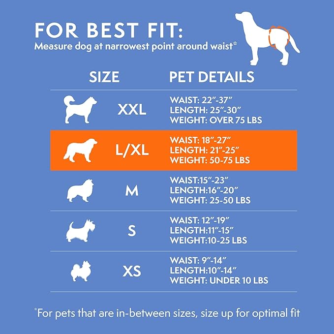 Simple Solution True Fit Disposable Dog Diapers for Female Dogs - Super Absorbent with Wetness Indicator - L/XL (Waist 18-27in) - 30 Count (Pack of 2)
