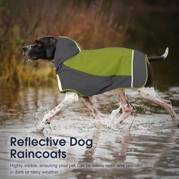 IECOii Dog Raincoat, Waterproof & Windproof Dog Rain Jacket with Reflective Strips for Rainy Walks,Pet Rain Poncho with Hood,Quick Dry,Easy to Wear,3XL Fits for Large Breeds,Green,XXXL