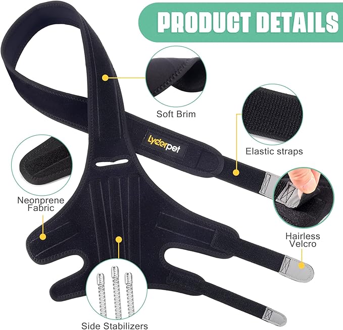 Dog Knee Brace for Torn ACL Hind Leg, Rear Leg Braces for Dogs Luxating Patella, Metal Spring Strong Support and Flexible Joint Care, Easy to Put On and Off Dog Braces for Back Leg (XXL)
