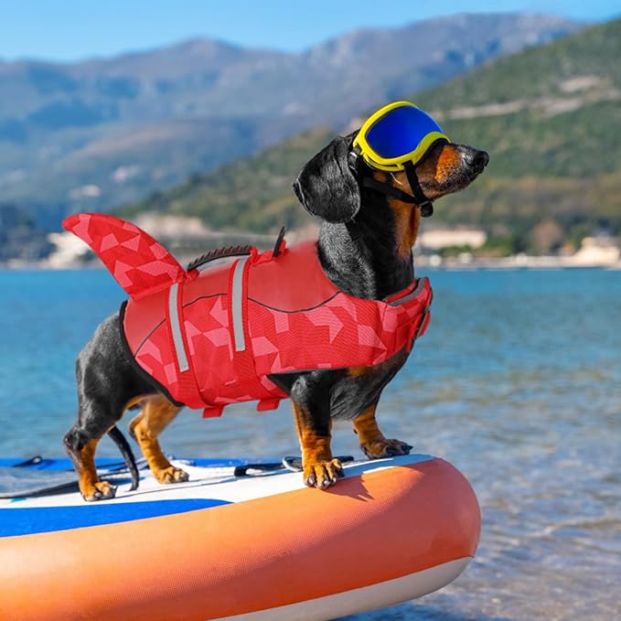 Queenmore Shark Dog Life Jacket, LifeVests for Boating, High Buoyant Dog Life Vest for Swimming, Adjustable Easy On Pet Jackets for Small, Medium, Large Dogs (Red Triangle,L)