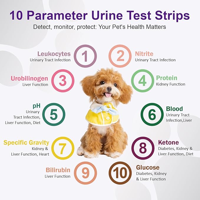 Pet Urine Test Strips – 10 Parameter Cat & Dog Urine Test Kit, At-Home UTI Test for Cats & Dogs, Easy to Use, Fast Results