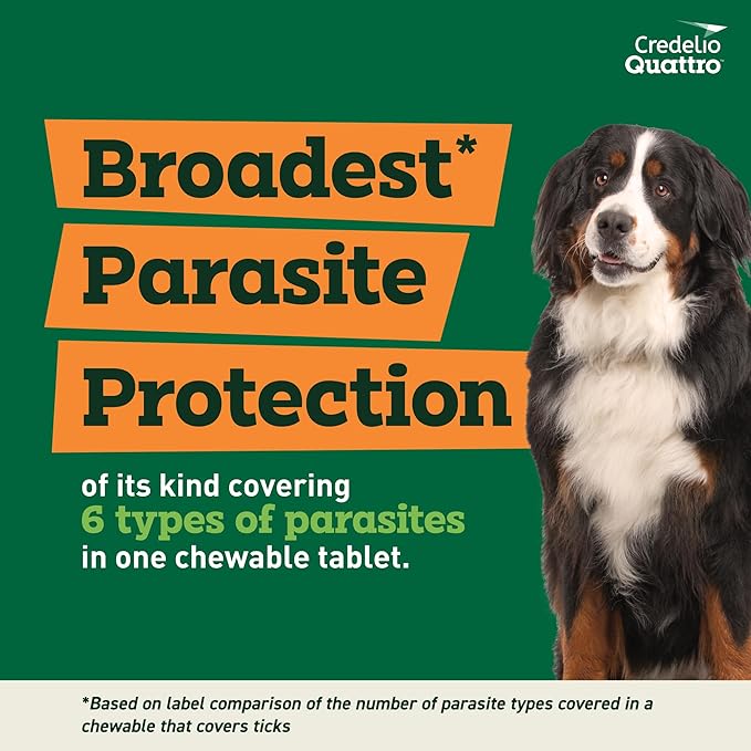 Credelio Quattro Dog Flea & Tick Treatment + Heartworm & Parasite Protection, 50.1-100 lbs (1 Chewable Tablet)