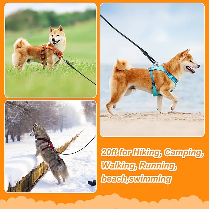 Vivifying Floating Long Dog Leash, 20ft Dog Training Leash, Check Cord Rope Lead with Comfortable Handle for Outside, Hiking, Swimming, Beach and Lake (Black)