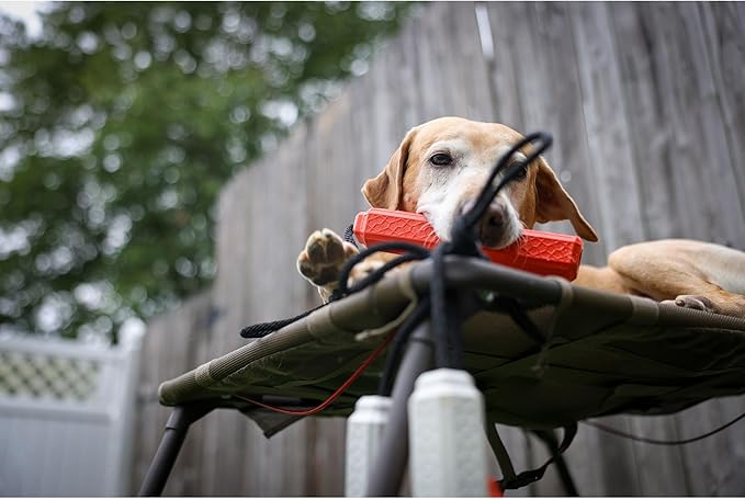 Momarsh Final Stand Dog Adjustable Training Platform & Storage Panel | Hunting Stand | Elevated Pet System for Place, Agility & Steadiness | Dog Trainer System | Mesh Bottom Mud Feet | 150lb Capacity