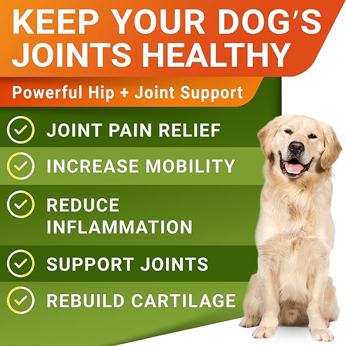 STRELLALAB Hemp Chews for Dogs - Hip & Joint Supplement with Glucosamine - Joint Pain Relief Treats - Omega 3, Chondroitin, MSM - Advanced Mobility Support - Chicken Flavor - 120 Ct - Made in USA
