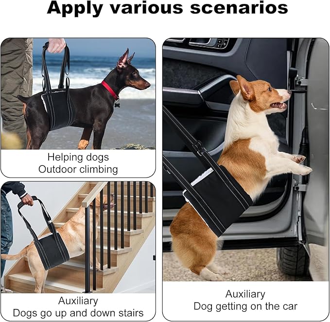 LARGE DOG HIND LEG SUPPORT SLING - Adjustable Dog Lift Harness for Senior, Injured, or Post-ACL Surgery Rehabilitation (Small)