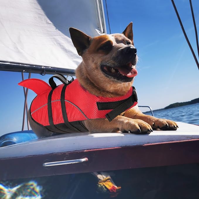 Queenmore Cat Life Jacket, XXS Extra Small Dog Life Vest, Puppy Life Vest for Swimming, Small Dog Vests for Boating, Lightweight High-Vis Water Floating Vest with Rescue Handle/Leash Hook