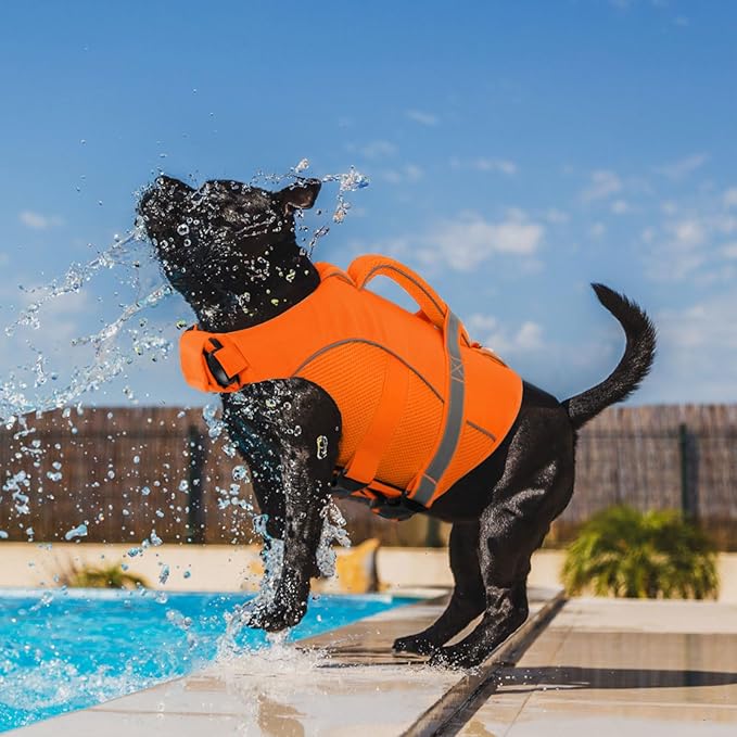 Queenmore Dog Life Jacket, Adjustable Ripstop Dog Life Vest for Swimming Boating, Pet Lifesaver with Superior Buoyancy and Rescue Handle, Doggy Swimming Vest for Large Dogs（Orange,L）
