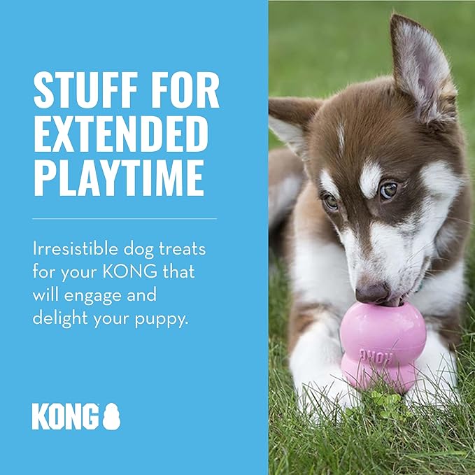 KONG - Dog Treat Combo - Easy Treat, Snacks and Ziggies - Puppy Treats for Medium/Large Puppies