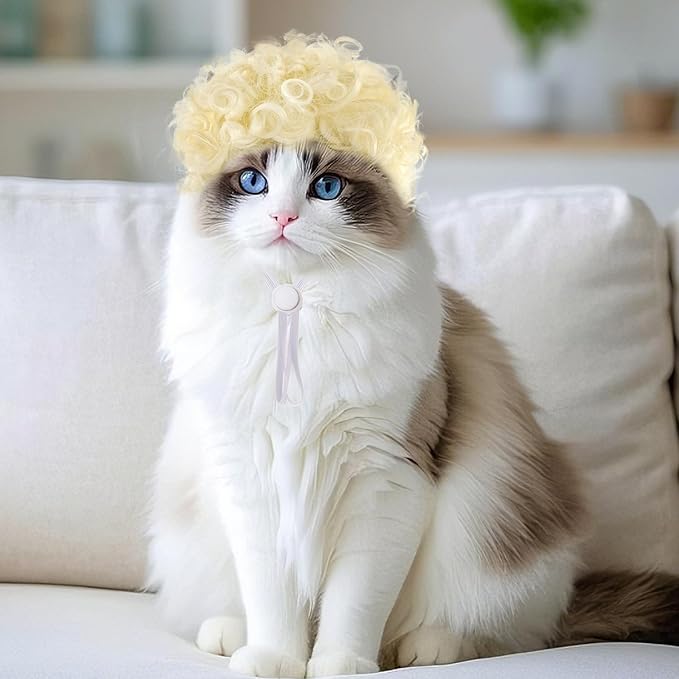 1 Pcs Funny Pets Wigs for Dog, Blonde Curly Dog Wig Adjustable Pet Wigs for Halloween Pet Costume Accessories for Christmas, Parties, Festivals Cosplay (Gold)