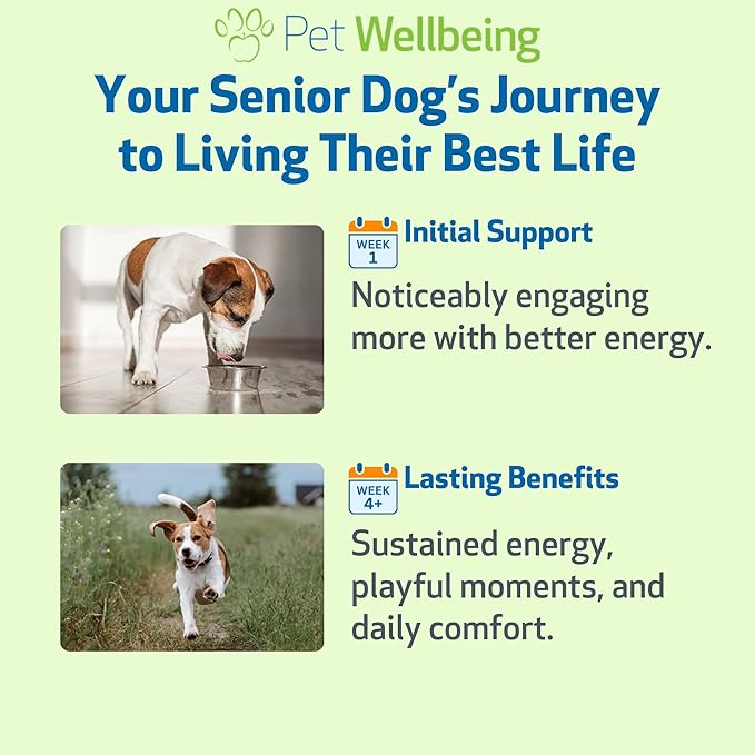 Pet Wellbeing Old Friend for Senior Dogs - Supports Immune System Health, Joint Mobility, Healthy Energy Levels, Alfalfa, Reishi - Veterinarian-Formulated Herbal Supplement 2 oz (59 ml)