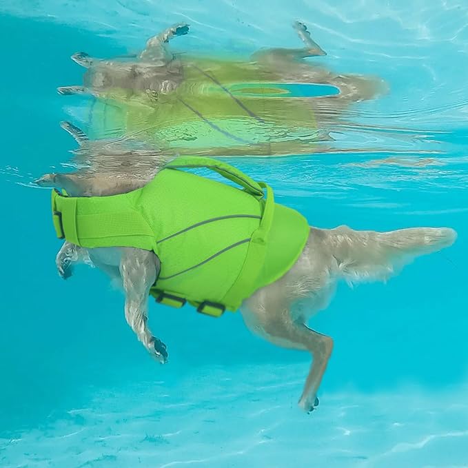 Queenmore Dog Life Jacket with Front Float, Adjustable Ripstop Dog Life Vest for Swimming Boating, Pet Lifesaver with Rescue Handle, Enhanced Buoyancy Cat Pool Float (Green,L)