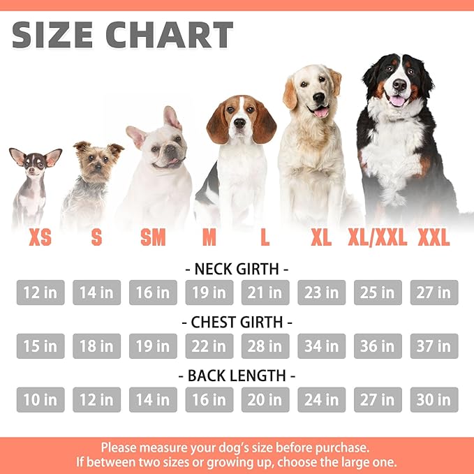 KOOLTAIL Dog Hoodie for Large Medium Small Dogs,Soft &Warm Pet Sweater with Leash Hole and Pocket Boy Girl,Puppy Fall Winter Jacket Clothes,French Pitbull Cold Weather Coat Sweatshirt,Orange M