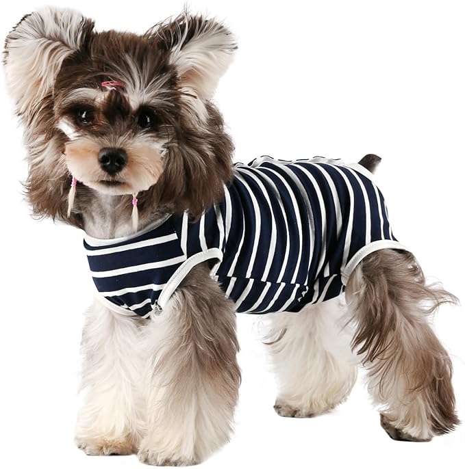 Etdane Dog Period Diapers Small Dog Sanitary Panties Period Suit for Male Female Dogs Diaper Cover for Heat Blue Stripe/X-Large