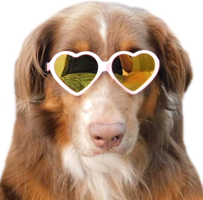 G012 Dog Pet Costume Prop Sunglasses Heart Shape Medium Breeds 20lb-40lbs (2-Pack Clear-Rainbow mr+Pink-Pink mr)