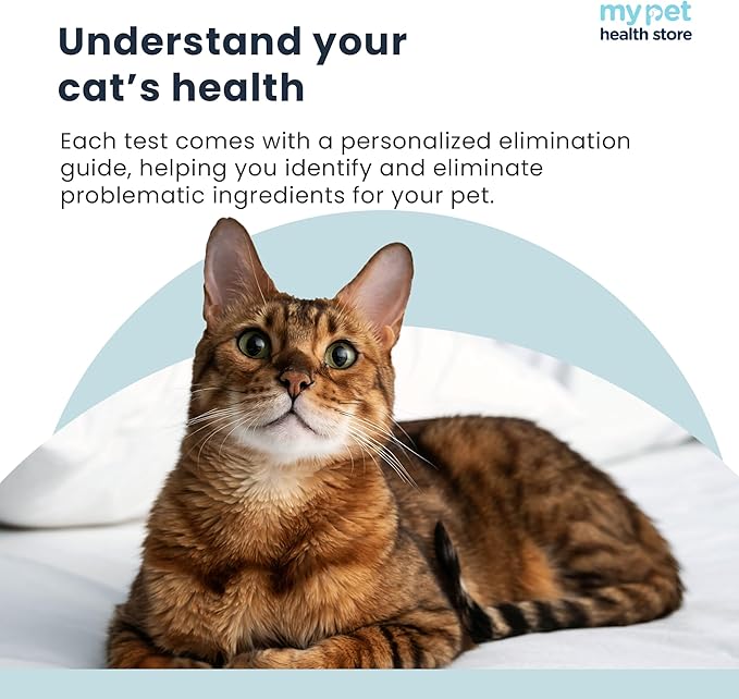 Allergen Sensitivity Test - Home Cat Allergen Test | 300 Items | Fast 3-5 Day Results | Gentle Fur Sampling | Comprehensive Food & Environment Analysis | Suitable for All Cats