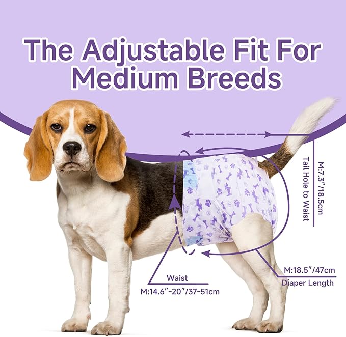 MICOOYO Disposable Dog Diapers Female, Doggie Diapers for Dogs Female, Super Absorbent Pet Diaper with Foam Tail Hole for Heat, Comfortable Puppy Diaper (Medium, 40Count)