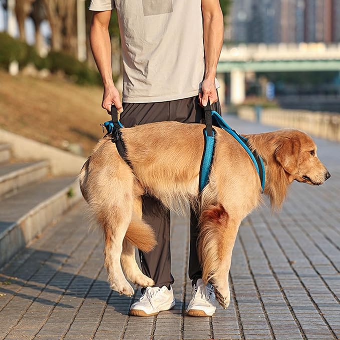 Pet Rehabs Strap for Aging Disabled Dog Nonslip Polyester Senior Mobility Tool for Outdoor Walking Gear Elderly Belt
