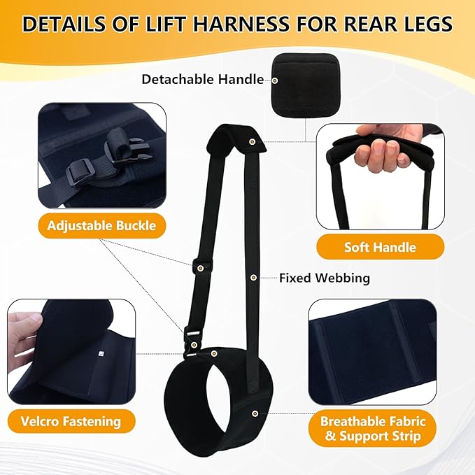 Dog Lift Harness for Rear Legs, Adjustable Dog Support Sling with Soft Padding, Hind Leg & Hip Support for Walking, Stairs & Recovery, Mobility Aid for Senior Dogs (L)