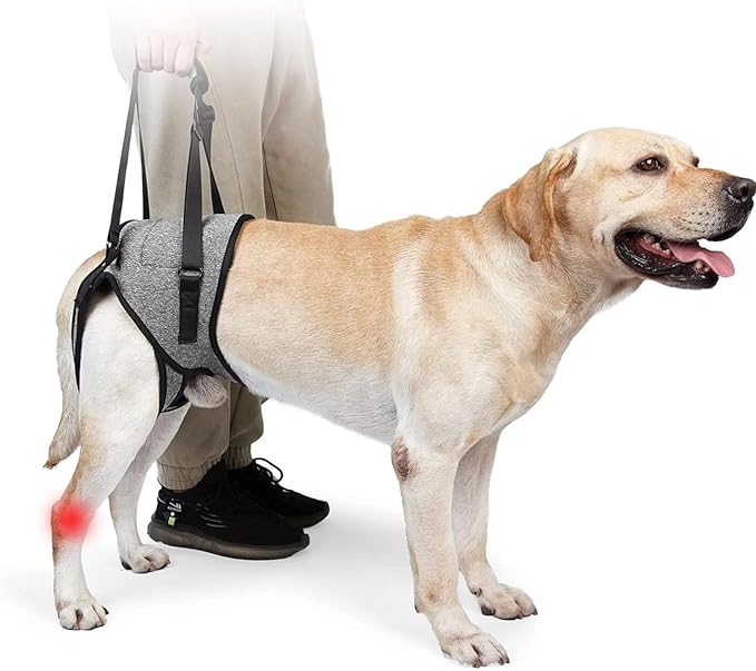 Dog Harness with Handle, Dog Sling for Large Dogs Hind Leg Support, Adjustable Dog Support Harness for Back Legs Elderly Injured Disabled Dogs with Reserved Urination Groove, Removable Sponge Handle