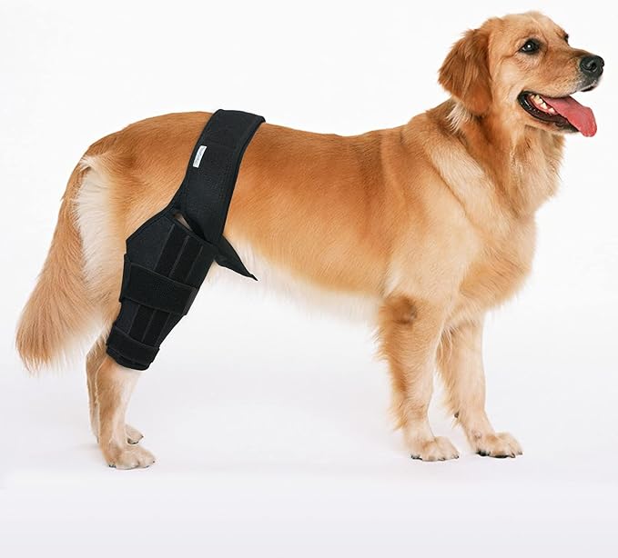 Dog Knee Brace for Hind & Rear Legs – Canine Leg Support – Adjustable, Durable, Black, Size M