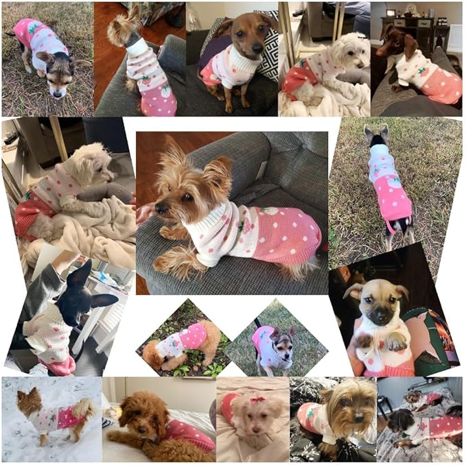 CHBORCHICEN Pet Dog Sweaters Classic Knitwear Turtleneck Winter Warm Puppy Clothing Cute Strawberry and Heart Doggie Sweater (Pink, XX-Small)