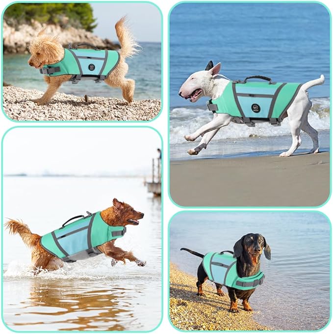 EMUST Dog Life Jackets, Durable Pet Life Jackets for Swimming, Boating with High Visibility, Stylish Dog Swimsuit with D-Ring for Swimming, Boating, Kayaking, Turquoise, XL