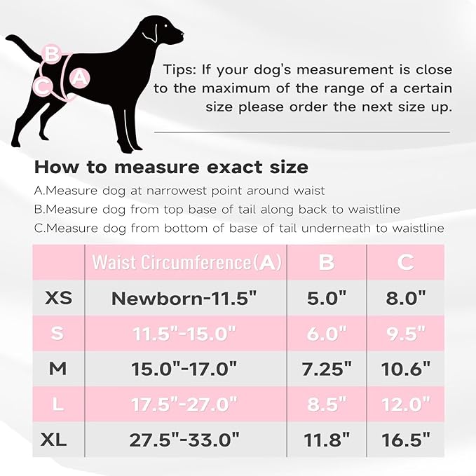 Paw Legend Washable Reusable Female Dog Period Diapers for Heat Doggie Puppy Diapers for Female Dogs (3 Pack, Small)