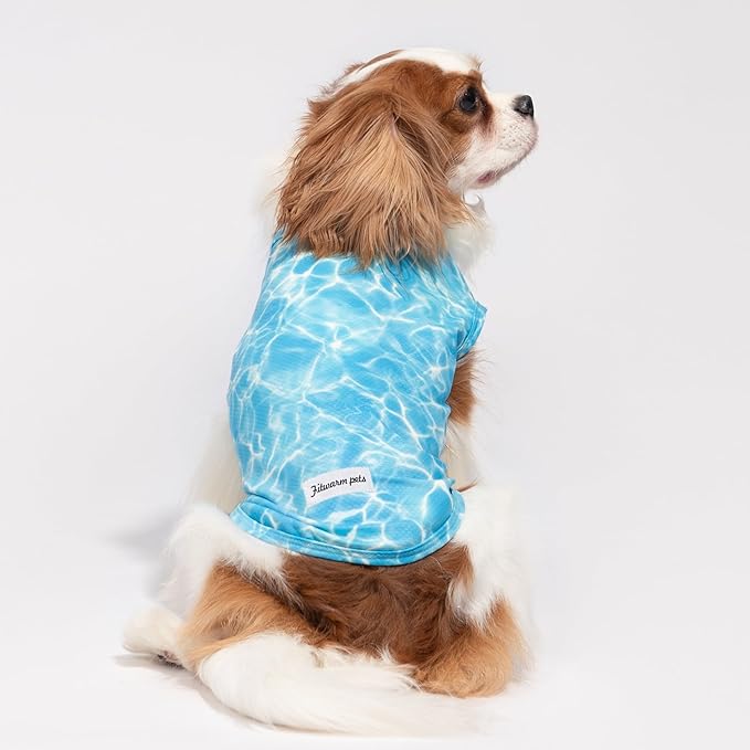 Fitwarm 2 Pack Marine UPF 50+ UV Sun Protection Dog Shirt, Lightweight Cooling Vest, Quick Dry Summer Clothes for Small Dogs Boy Girl, Pet Outfit, Sky Blue, Mint Green, Medium