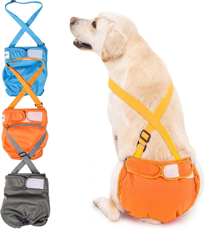 3 Pack Avont Washable Female Dog Diaper with Suspender, Reusable Girl Doggie Diapers for Small Medium Large Doggy in Heat Cycle Period Incontinence -M Blue/Orange/Grey