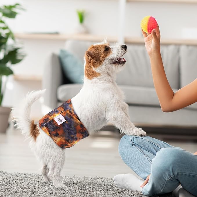 CuteBone Dog Diapers Male Washable Belly Band for Male Dogs Wraps Black 3pcs a Pack DM56XS