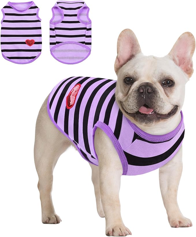 Queenmore Small Dog Shirt,Soft Breathable Dog Shirt for Dogs Cats Boy Girl,Pet Clothes for All Season,Breathable Lightweight Pet Tshirt for Frenchie, Dachshund, Yorkie