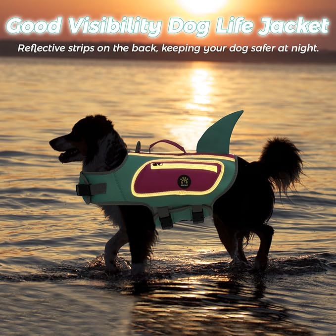 Dog Life Jacket, Cute Shark Dog Life Vest for Swimming Boating with Superior Buoyancy and Rescue Handle, Adjustable Puppy Swim Floating Vest for Small Medium Large Dogs (Turquoise, Large)