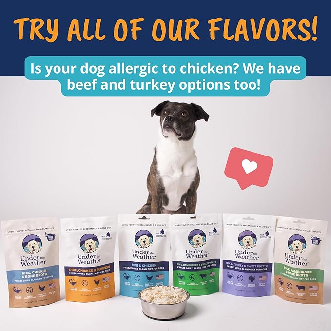 Under the Weather Bland Diet for Dogs | Easy to Digest for Sick Dogs |Always Be Ready | Contains Electrolytes - All Natural Freeze Dried 100% Human Grade Meats | 2 Pack - Rice, Chicken & Pumpkin - 6oz