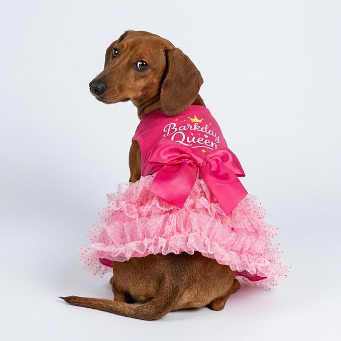 Fitwarm Barkday Queen Dog Tutu Dress, Birthday Clothes for Small Dogs Girl, Pet Outfit, Light Pink, Hot Pink, XS