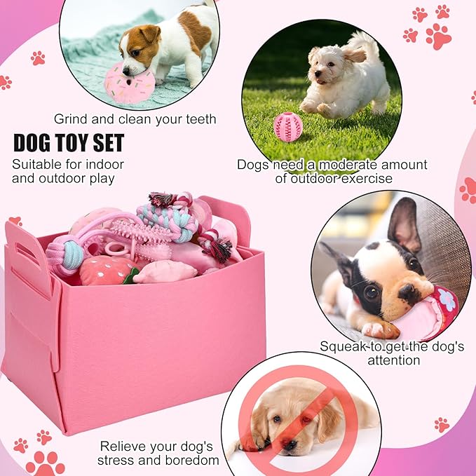 Abbylike 75 Pcs Puppy Supplies Starter Kit for Small Dogs New Puppy Essentials Starter Kit Pink for School Dog Toys Includes Dog Leash, Bowl, Brushes, Water Bottles, Christmas Welcome Home Gift