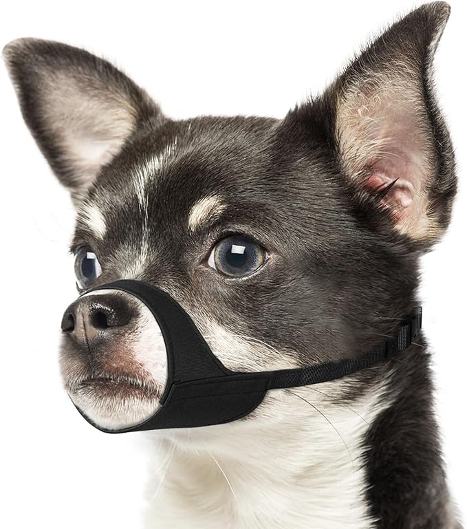 Mayerzon Short Snout Dog Muzzle for Small Medium Dogs, Soft & Sturdy Fabric, Anti Excessive Biting Chewing, Suits Chihuahua Shih Tzu Maltese for Grooming Vet Visits Walk, Allows Drinking(Black, XS)