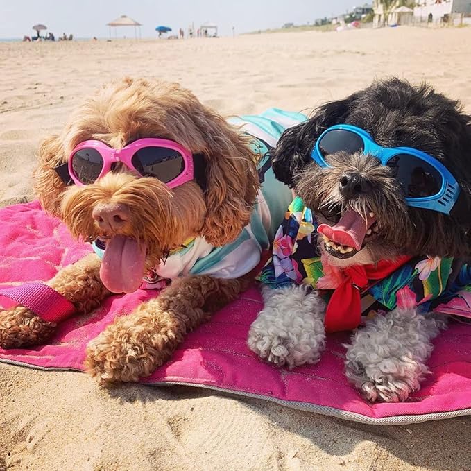 NAMSAN Dog Goggles for Small to Medium Dogs, Dog Sunglasses UV Protection for Medium Dogs Outdoor Cycling Driving, Small Puppy Glasses Dog Eye Protection, Anti-Fog Windproof, Adjustable, Blue