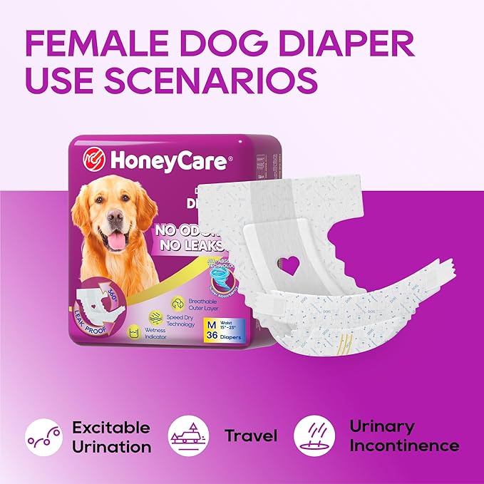 HONEY CARE All-Absorb Disposable Female Dog Diapers M Size, Improved Bigger Size, 36 Count, Super Absorbent, Breathable, Wetness Indicator (Pack of 1, 36 Count Total)