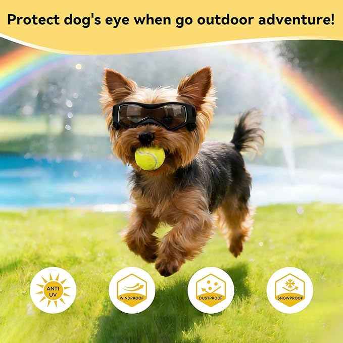 LESYPET Extra Small Dog Goggles, UV Protection Dog Sunglasses for Cats Puppy, Windproof Eye Protection Puppy Sunglasses for Outdoor Riding, Black