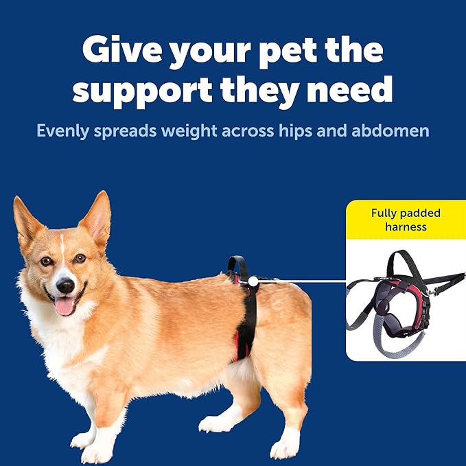 PetSafe CareLift Rear Support Harness - Senior & Disabled Dog Rear Mobility Support - Easy-Fitting, Breathable Belly Straps with Lifting Aid Handle - For Small Dogs 7-35 lb