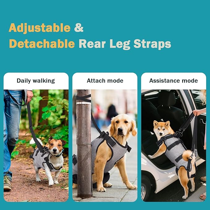 Ownpets Dog Sling Harness, Outdoor Sling Bag for Spine Protection, Whole Body Support, Support Vest to Assist Aged Dogs, Outdoor (XL)