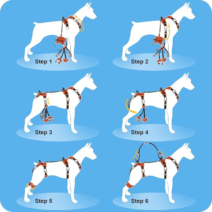 Dog Lift Harness, Dog Lift Sling Carrier with Handle & Shoulder Sling, Support Harness for Rear Back Legs Helps,Disabled,Arthritis,Joint Injuries,Paralysis Up Stairs（Blue,Large）
