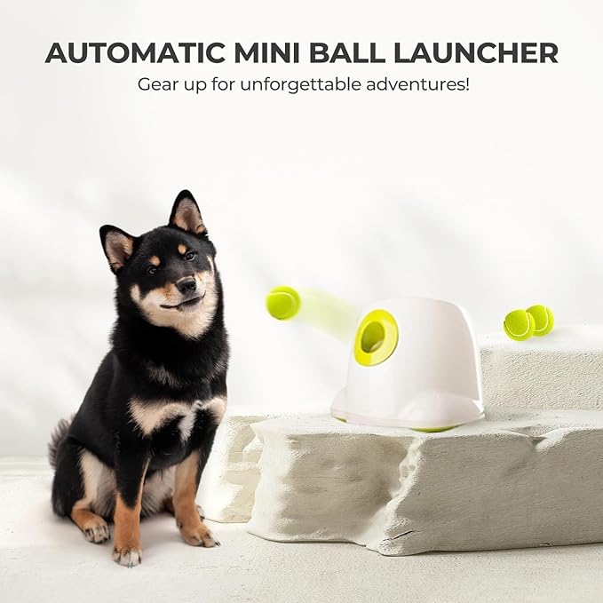 ALL FOR PAWS Automatic Dog Ball Launcher, Interactive Fetch Toy for Small to Medium Dogs, Rechargeable Pet Thrower Machine for Indoor & Outdoor Play, 3 Pcs 2-Inch Balls Included