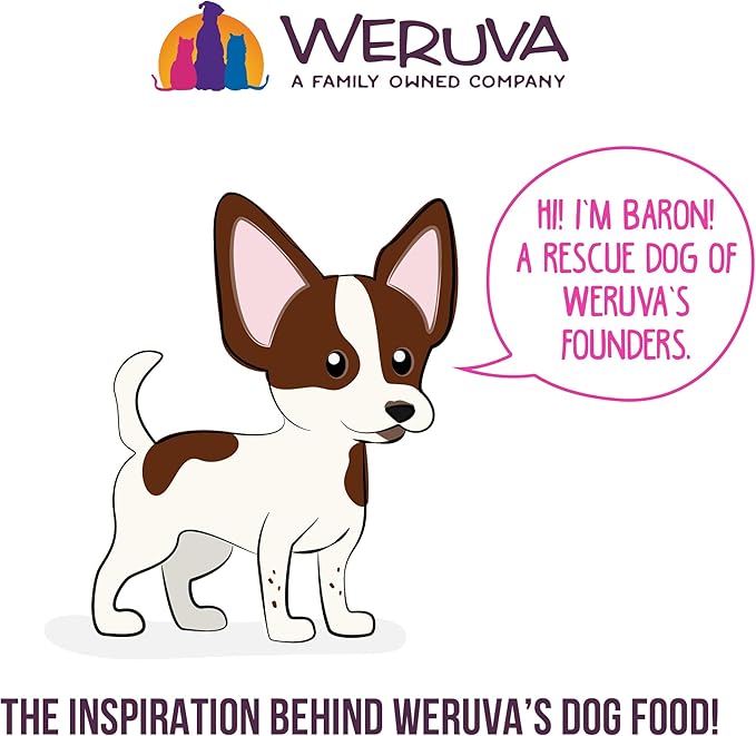Weruva Best Fido Friend Fun Size Meals for Dogs, Oh So Nice, 2.75oz Cup, Pack of 12