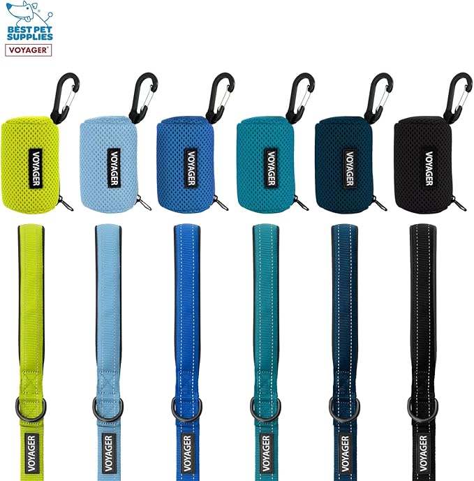 Best Pet Supplies 2-Pack Dog Poop Bag Holder Leash Attachment, Color, Reusable Mesh Dispenser Pouch for Travel, Walking, Park, and Outdoor Use, Soft and Durable with Clip-On - Mesh Blue